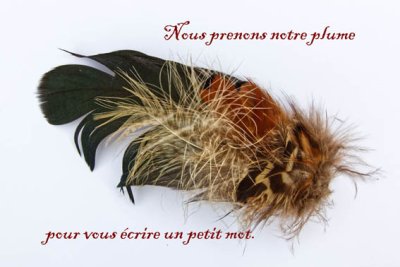 Carte de voeux représentant sun bouquet de plume et en texte : "Nous prenons notre plume pour vous écrire un petit mot"